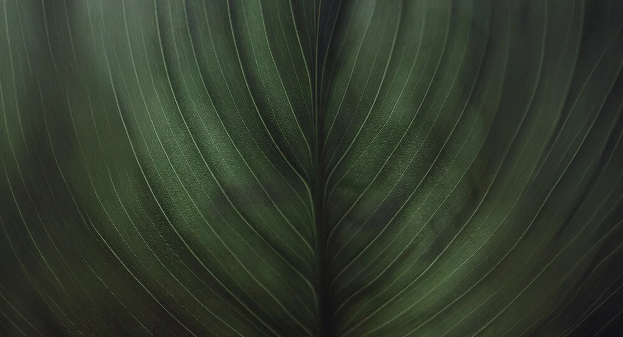 리숨성형외과 메인 비주얼 2