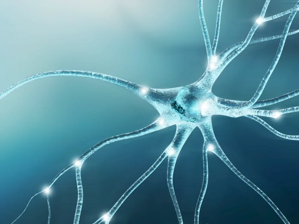 Angiogenesis