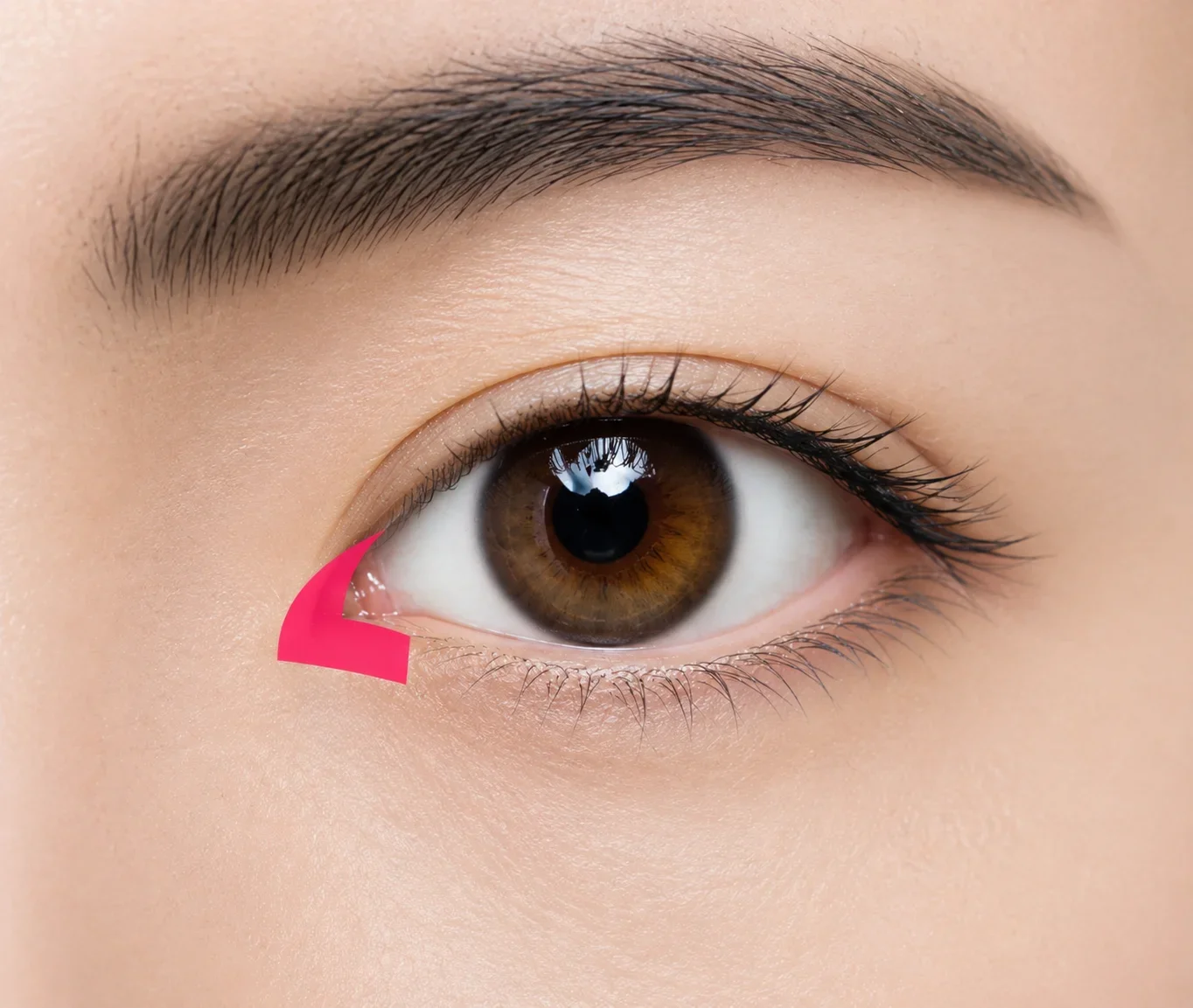 맞춤 디자인